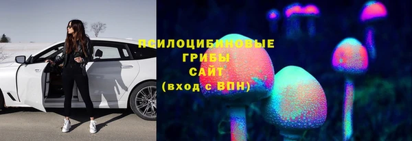 spice Абинск