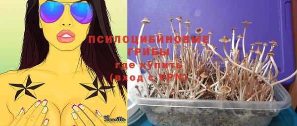 spice Абинск